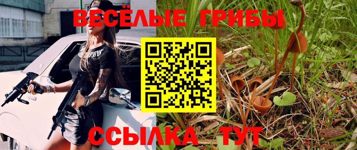 Галлюциногенные грибы мицелий Родники