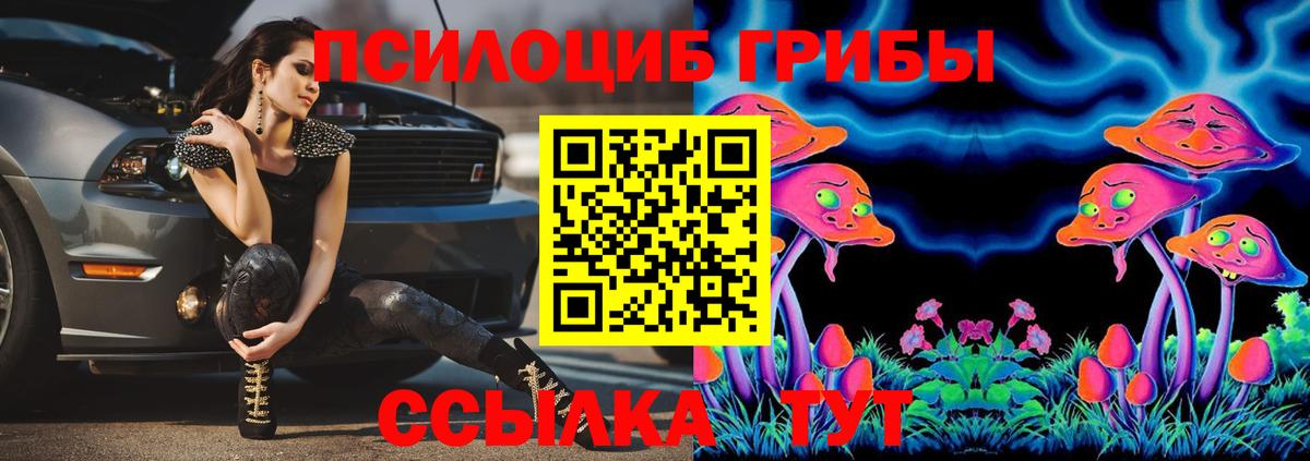 Родники  Псилоцибиновые грибы мицелий  Вход с VPN 